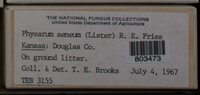 Image Associated With the Occurence